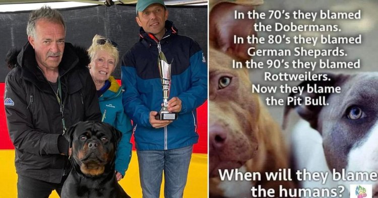 Dog lover’s chilling Facebook post weeks before pet killed her husband