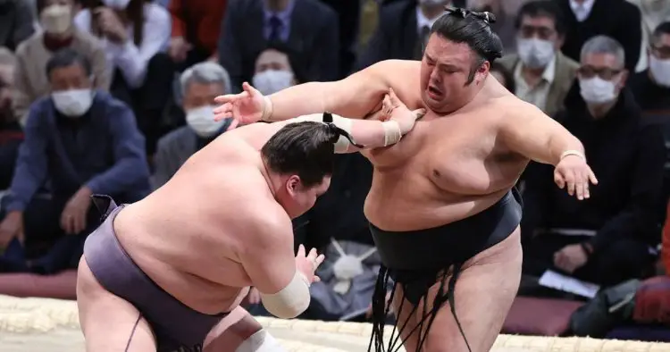 Airline had to put on extra flight for sumo wrestlers as it was too heavy to fly