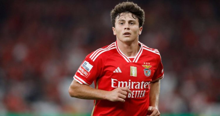 Manchester United send scouts to watch Benfica teenager Joao Neves