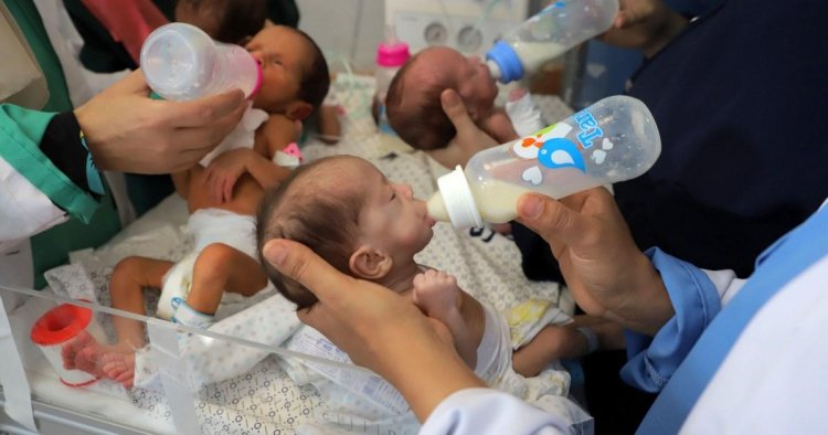 Babies evacuated from Gaza’s Al-Shifa hospital for life-saving treatment – Israel news