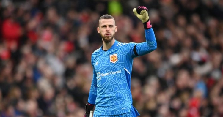 David de Gea responds to Newcastle United interest with former Man Utd star  lined up to replace injured Nick Pope
