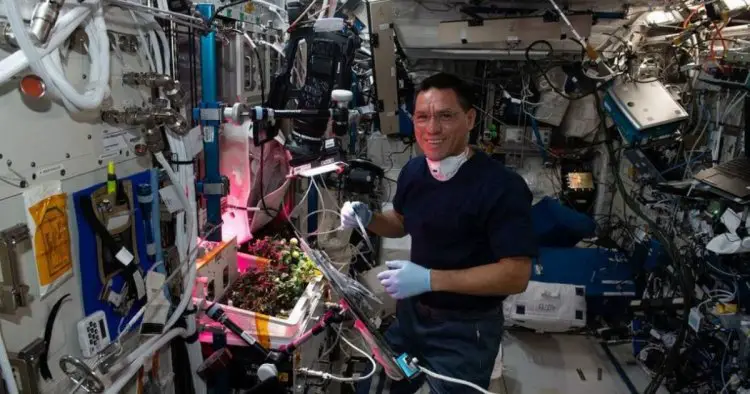 International Space Station ‘whodunnit?’ finally solved after eight-month tomato mystery