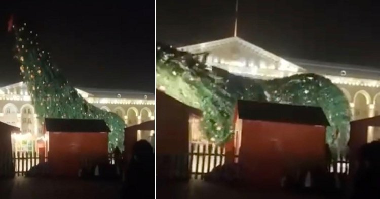 People run for their lives as giant Christmas tree comes crashing down