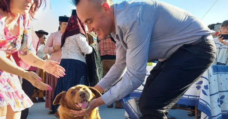Owner of ‘oldest dog ever’ Bobi vows to get title back after it was stripped