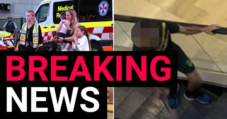 Six dead and nine-month-old baby among injured in shopping centre stabbing