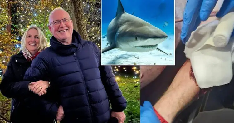 British tourist ‘aware and can communicate’ after shark attack