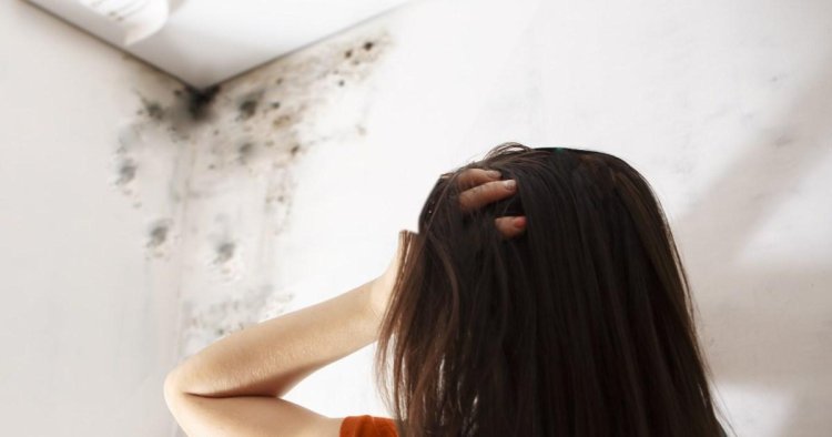 Living in a mouldy house could impact your sex life in this unexpected way